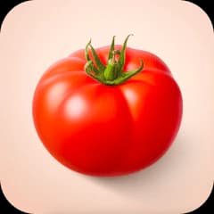 Vegetable